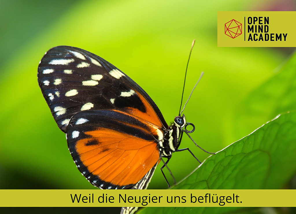 Schmetterling Unser Ansatz