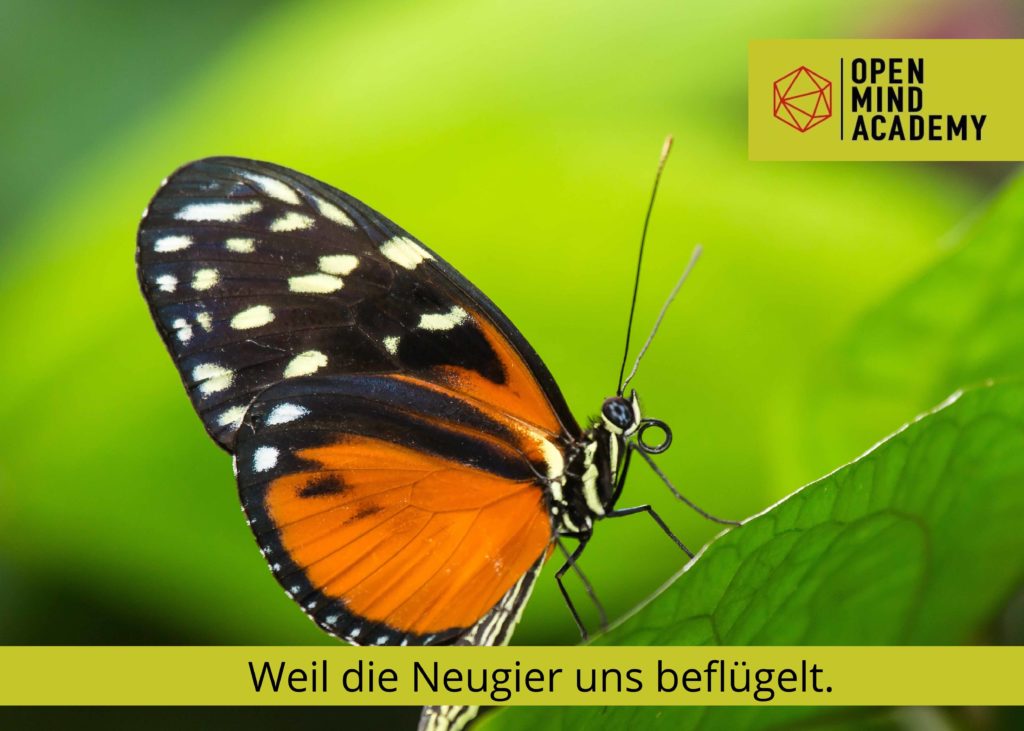 Weil_die_Neugier_uns_beflÃ¼gelt