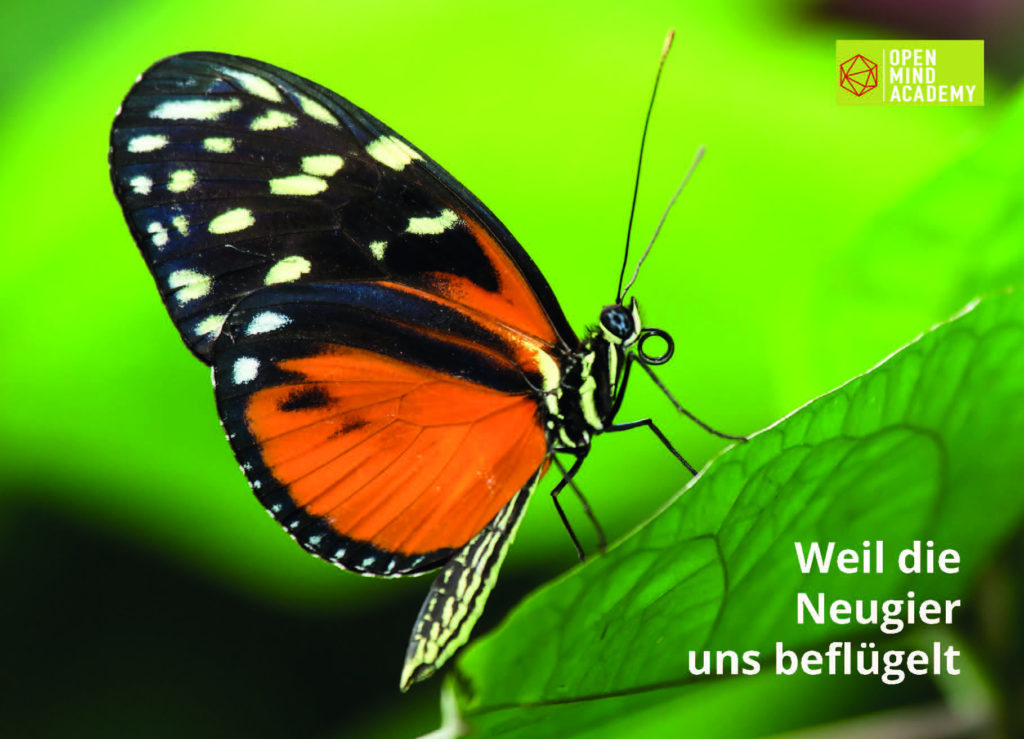 Weil_die_Neugier_uns_beflügelt_Seite_1